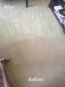 Carpet-Cleaning-Federal_Way