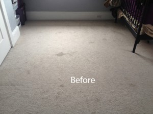 Cranberry Juice Stain Removal Federal_Way A