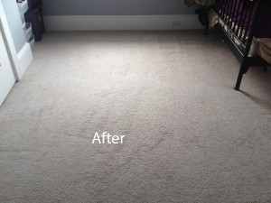 Cranberry Juice Stain Removal Federal_Way B