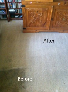 Dirt Stains Removal Federal_Way