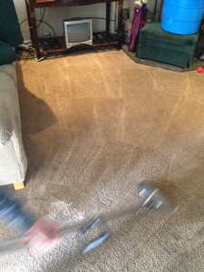 Dirty-Carpet-Cleaned-Federal_Way
