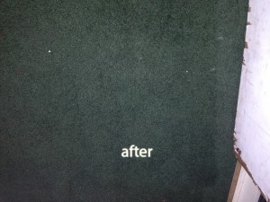 Federal_Way-2-after-carpet