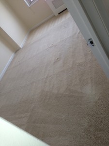 Federal_Way-Carpet-Clean-room