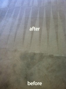 Federal_Way-Carpet-Cleaning-Carpet-Cleaning