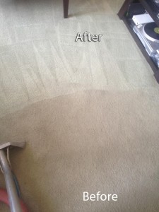 Federal_Way-Carpet-Cleaning-Company