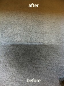 Federal_Way-Coffee-Stain-Carpet-Cleaning