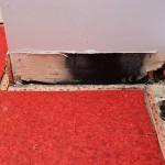 Federal_Way-Flood-Restoration