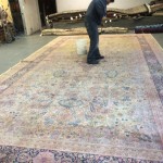 Federal_Way-Professional-Rug-Cleaning