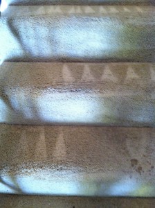 Federal_Way-Stairs-Carpet-Cleaning