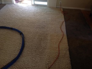 Federal_Way-Traffic-Area-carpet-cleaners