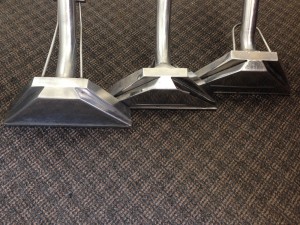 Federal_Way-Urine-carpet-Clean