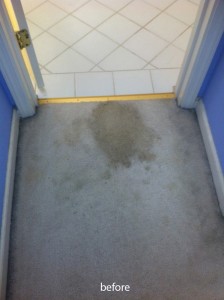 Federal_Way-Vomit-1-before-carpet