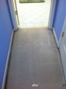 Federal_Way-Vomit-2-after-carpet