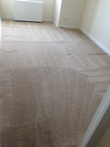 Federal_Way-Wall2WallCarpet