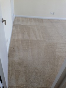 Federal_Way-Wall2WallCarpets