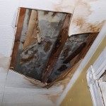 Federal_Way-Water-Pipe-Exploded