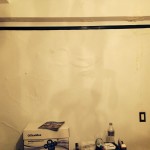 Federal_Way-mold-damage
