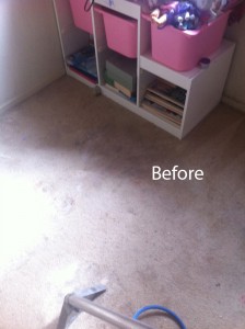 Federal_WayWall2WallCarpetSteamCleaningA