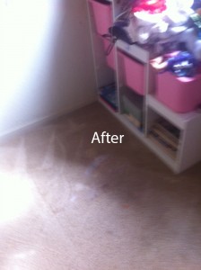 Federal_WayWall2WallCarpetSteamCleaningB
