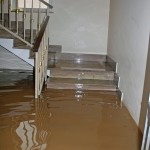 Federal_Wayflood-in-house