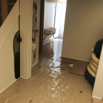 Federal_Wayhome-flood-damage-repair