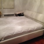 MattressCleaning-Federal_Way-Upholstery-cleaning