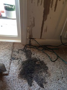 Oil-Stain-Removal-Before-Federal_Way