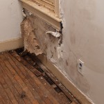 Paint-Water-Damage-Federal_Way