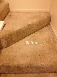 Stairs-Carpet-Cleaning-Federal_Way-A