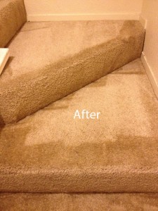 Stairs-Carpet-Cleaning-Federal_Way-B
