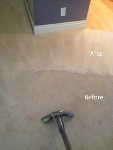 Steam-Carpet-Cleaning-Federal_Way