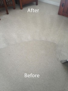 WALL TO WALL CARPET CLEANING