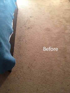 ink stain removal Federal_Way-A
