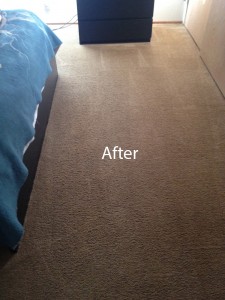ink stain removal Federal_Way-B