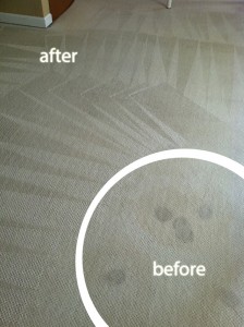 wine and carpet